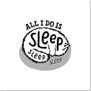 All I Do Is Sleep Posters and Art